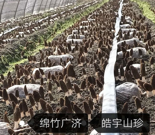 &#20061;&#24030;&#32593;&#39029;&#29256;&#45;&#20061;&#24030;&#40;&#20013;&#22269;&#41;&#95;&#20061;&#24030;&#40;&#20013;&#22269;&#41;