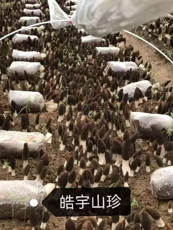 &#20061;&#24030;&#32593;&#39029;&#29256;&#45;&#20061;&#24030;&#40;&#20013;&#22269;&#41;&#95;&#20061;&#24030;&#40;&#20013;&#22269;&#41;