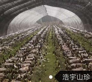 &#20061;&#24030;&#32593;&#39029;&#29256;&#45;&#20061;&#24030;&#40;&#20013;&#22269;&#41;&#95;&#20061;&#24030;&#40;&#20013;&#22269;&#41;