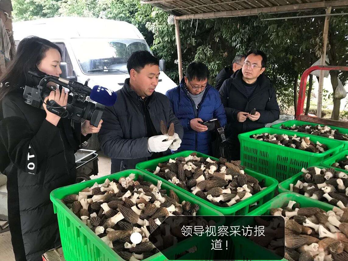 &#20061;&#24030;&#32593;&#39029;&#29256;&#45;&#20061;&#24030;&#40;&#20013;&#22269;&#41;&#95;&#20061;&#24030;&#40;&#20013;&#22269;&#41;