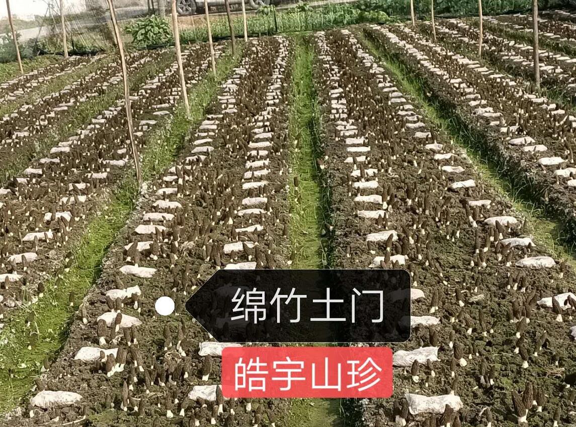 &#20061;&#24030;&#32593;&#39029;&#29256;&#45;&#20061;&#24030;&#40;&#20013;&#22269;&#41;&#95;&#20061;&#24030;&#40;&#20013;&#22269;&#41;